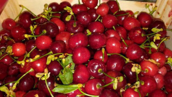 Fructele care au devenit un lux: Primele cireșe apărute în piață costă 249 de lei kg! 