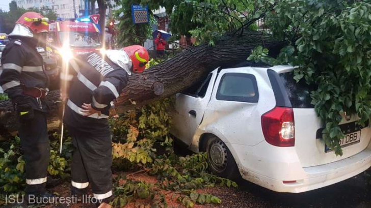 Bilanțul scurtei furtuni din Capitală: 2 răniți și 6 copaci căzuți