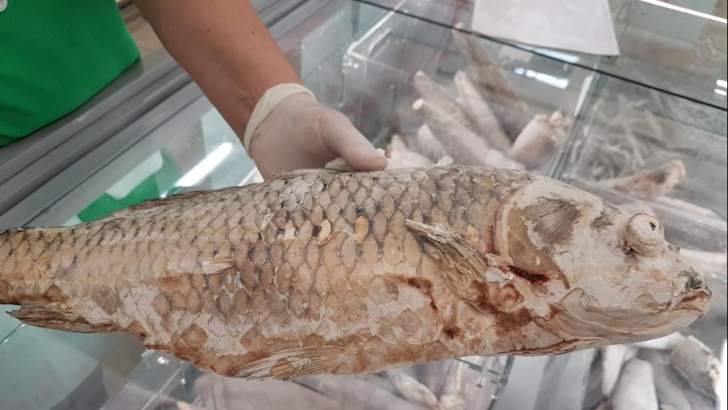 Grave nereguli la peștele găsit în hypermarket-urile din București și Ilfov
