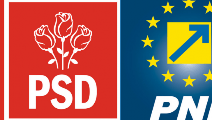EXIT POLL Europarlamentare 2019. Scor PSD, PNL și USR la ora 14