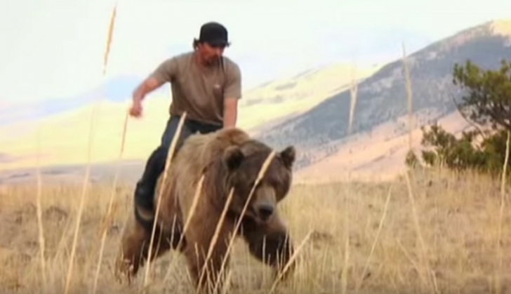 A salvat un pui de urs rămas orfan. După 6 ani, animalul i-a făcut ceva teribil!