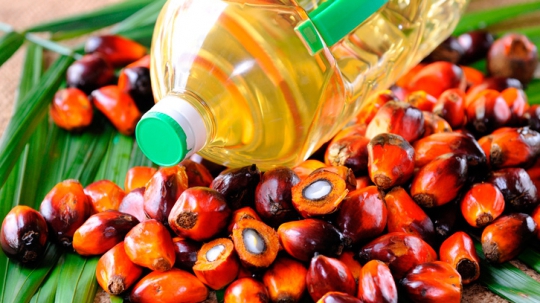 Medic nutriționist: „Uleiul de palmier, o escrocherie la scara planetară!” – Cât de nociv este pentru sănătate