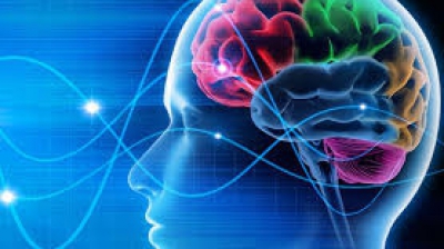 Scanarea creierului te poate ajuta să afli cât de inteligent ești