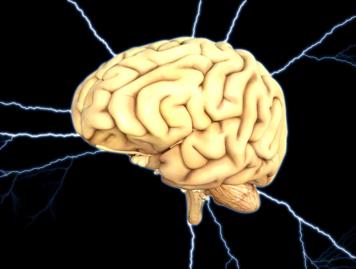 Cum stimularea electrică poate reîmprospăta memoria creierului îmbătrânit