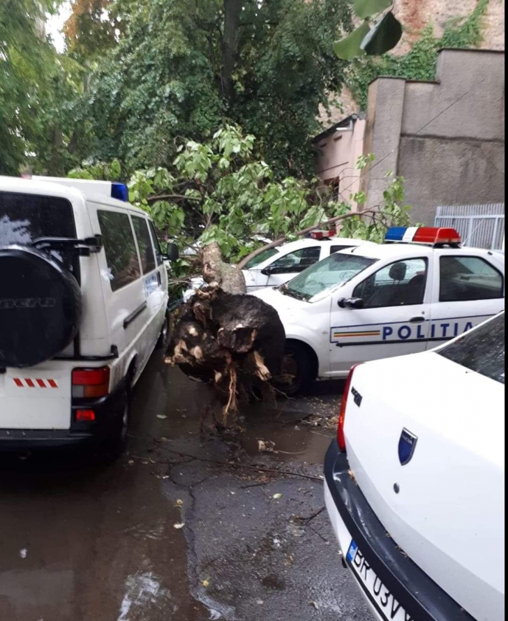 Mașini de poliție distruse de vremea extremă, la Brăila