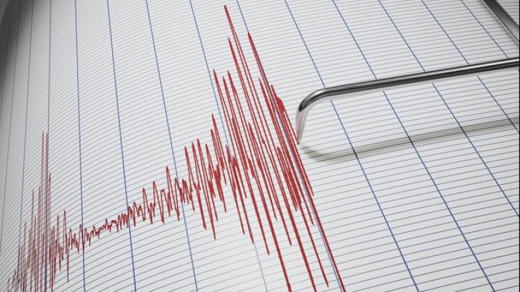 Cutremur de 7,3 grade în Indonezia