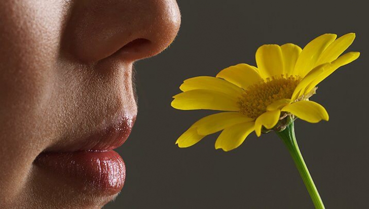 Cum ni s-a deteriorat simțul olfactiv în comparație cu strămoșii noștri