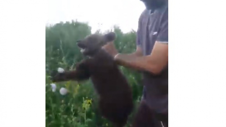 Dosar penal pentru cei care au chinuit un pui de urs chinuit fără motiv (VIDEO)