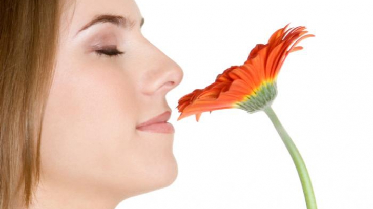 De ce simțul tău olfactiv e diferit de cel al strămoșilor tăi