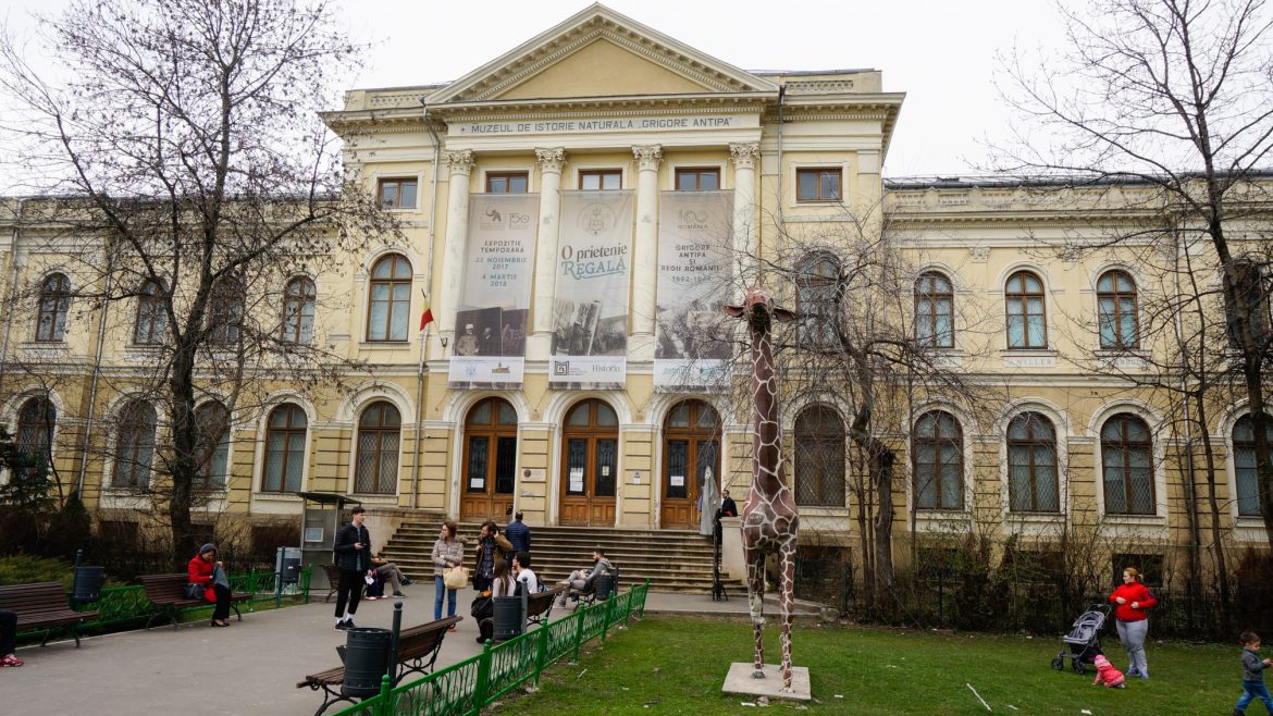 Noaptea Muzeelor fără muzee. „Grigore Antipa” a anunţat că nu va participa la ediția din acest an. Este al treilea muzeu din Capitală care „intră în grevă”