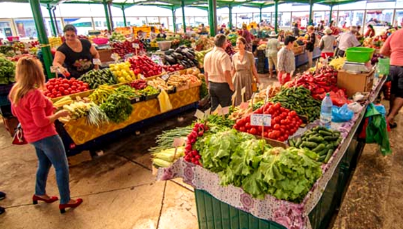 Agricultorii protestează miercuri în fața Guvernului. Ce revendicări au