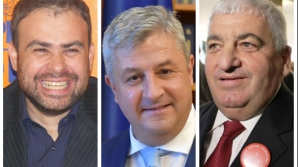 Clanurile PSD din OLT, județul criminalului Dinca