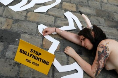 Protest la Pamplona