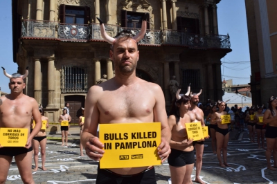 Protest la Pamplona