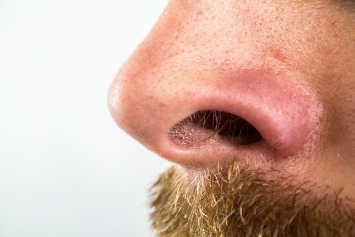 De ce simțul nostru olfactiv este mai puțin ascuțit decât al strămoșilor