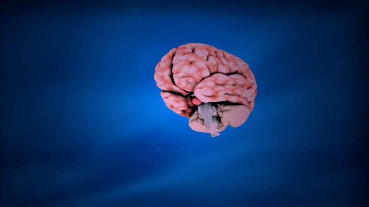 Trucul prin care creierul poate fi învățat să nu mai fie sensibil la durere