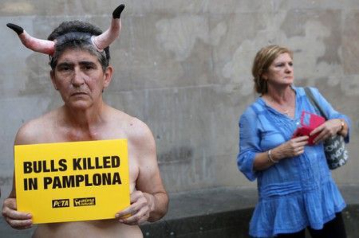 Protest la Pamplona