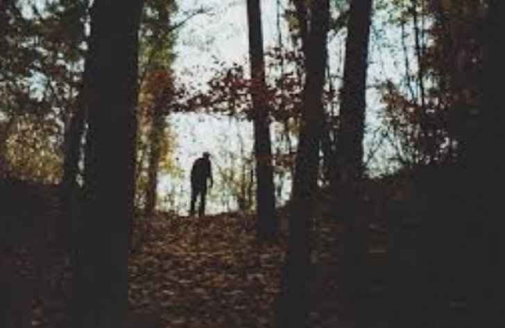 A luat-o pe scurtătură, prin pădure. A auzit un urlet. Când a dat frunzele la o parte, oroare!