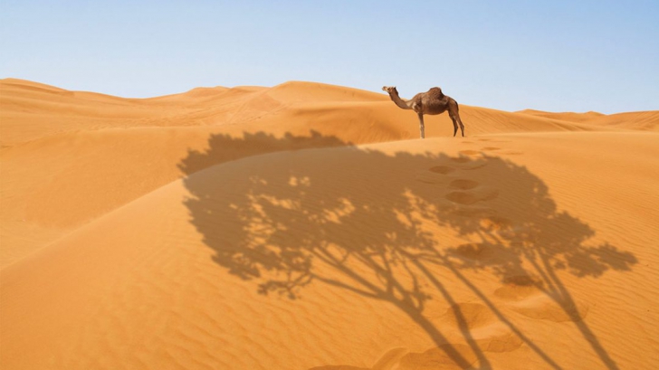 Specialiștii au descoperit un secret mare despre Sahara: cum era deșertul în urmă cu milioane de ani