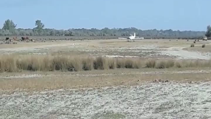 Accident aviatic la Buzău. Un avion AN-2 a fost implicat într-un incident produs pe aerodromul Spătaru