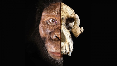 Descoperirea care intră direct în cărțile de istorie: ce schimbă acest craniu găsit în Africa?