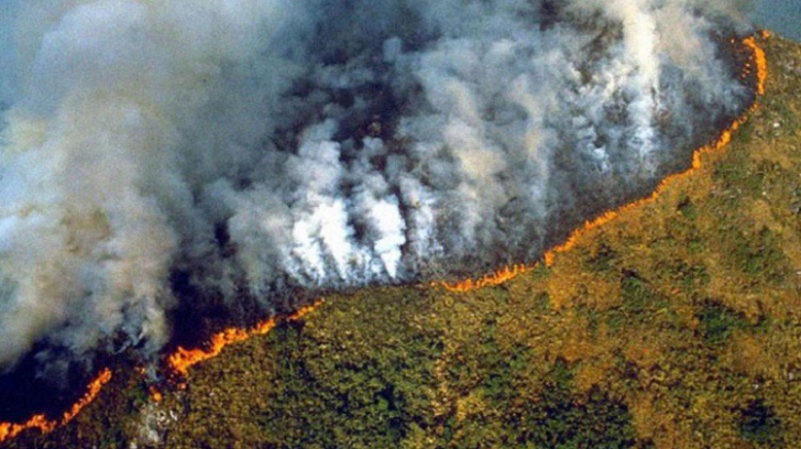 Ard "plămânii planetei". Record de incendii în pădurea amazoniană