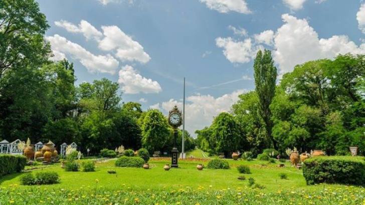 Primaria Capitalei reacționează:"Modernizarea parcului Cișmigiu nu înseamnă defrișări"