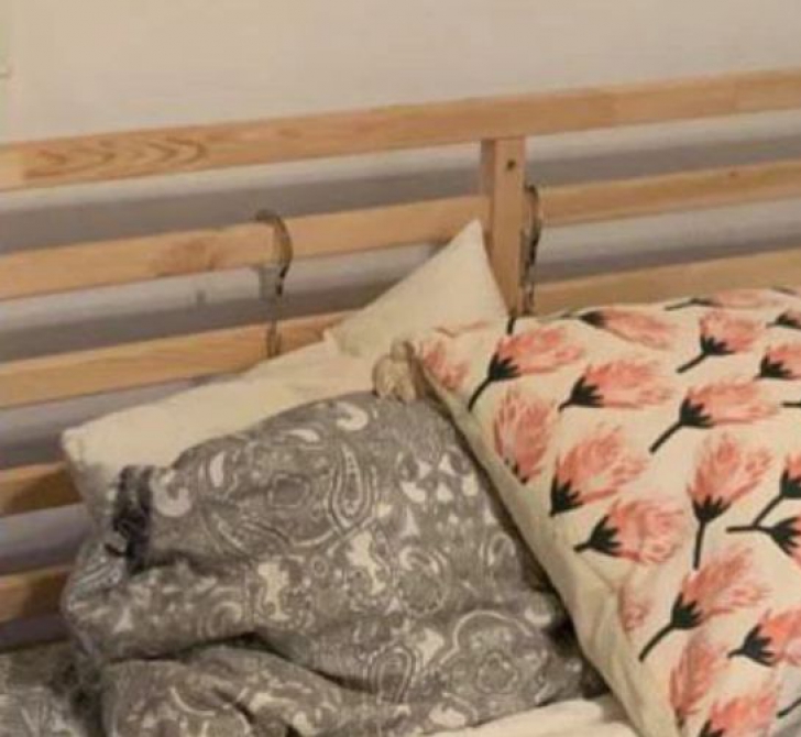 O studentă i-a trimis mamei fotografii cu noul ei dormitor, dar a uitat de un detaliu șoc