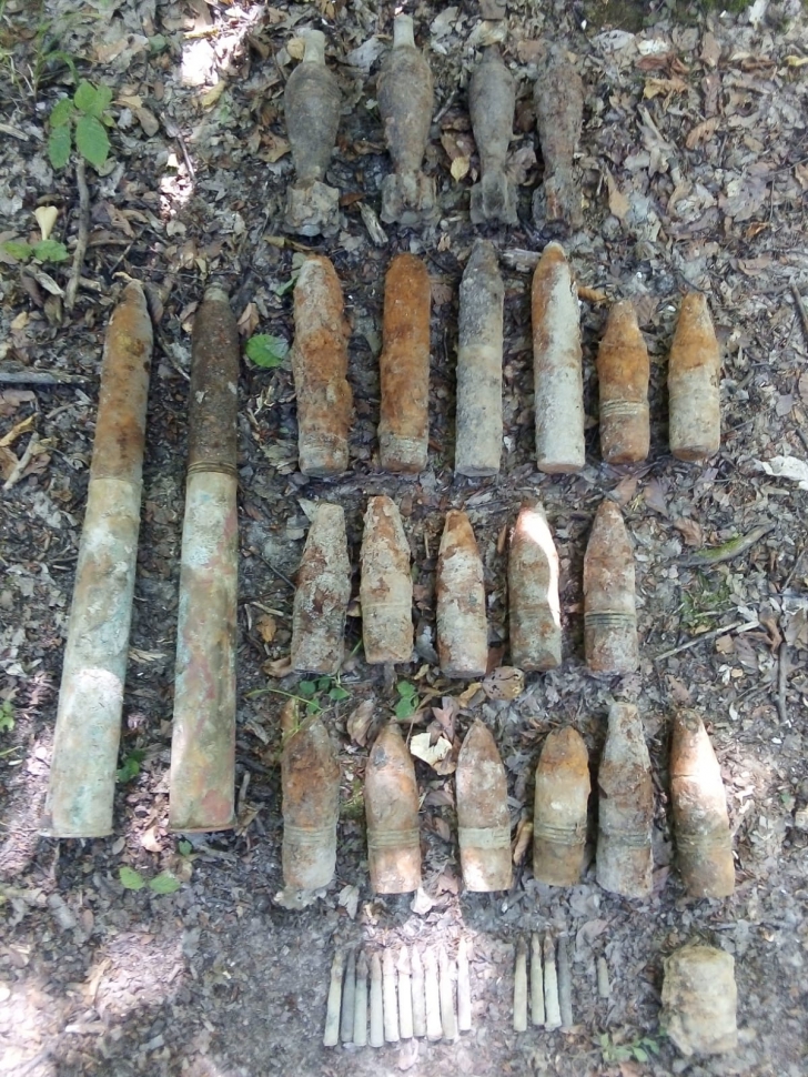 Arsenal de muniție neexplodată, descoperit într-o pădure din Neamț 