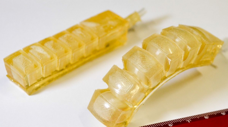 Cea mai bizara creație a cercetătorilor: roboții comestibili din gelatină. Ce gust au?