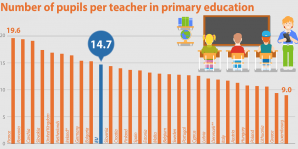 Numar mediu elevi la fiecare profesor