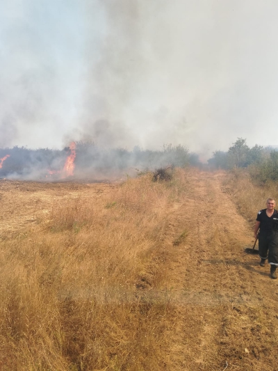 VIDEO Incendiu puternic în Dolj. Au ars 80 de hectare de arbuști și vegetație