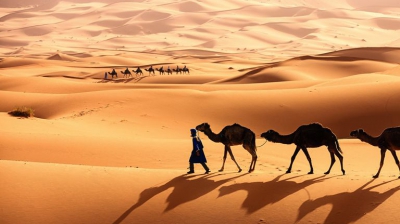 Sahara a fost cândva sub ape! Transformarea prin care ar putea trece acum Pământul