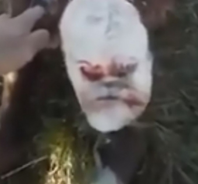 Imagini terifiante, în Argentina! Misterul vițelușului-mutant cu față de OM. Cum arată creatura