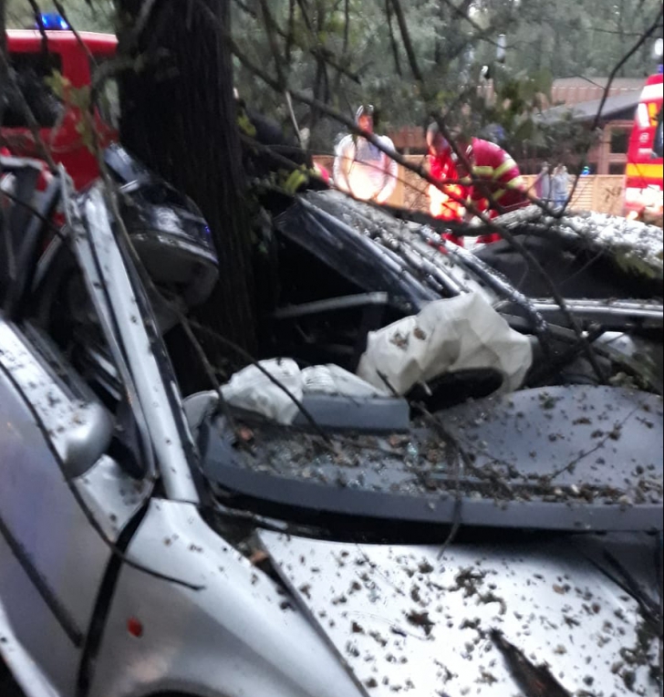 Tragedie la Constanța! S-a încolăcit cu mașina într-un copac
