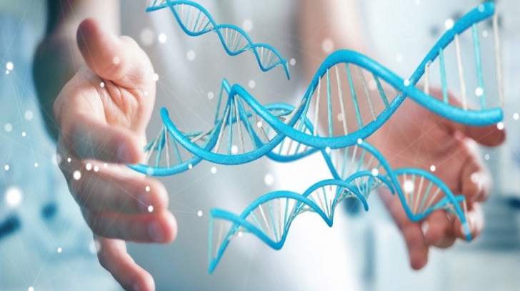 Studiu realizat pe ADN-ul uman: există sau nu o genă gay?