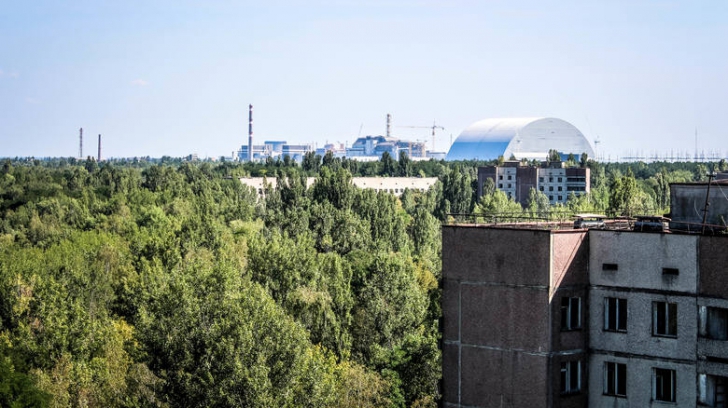 Ce s-a întâmplat cu plantele la Cernobîl după dezastrul nuclear. Uluitor!
