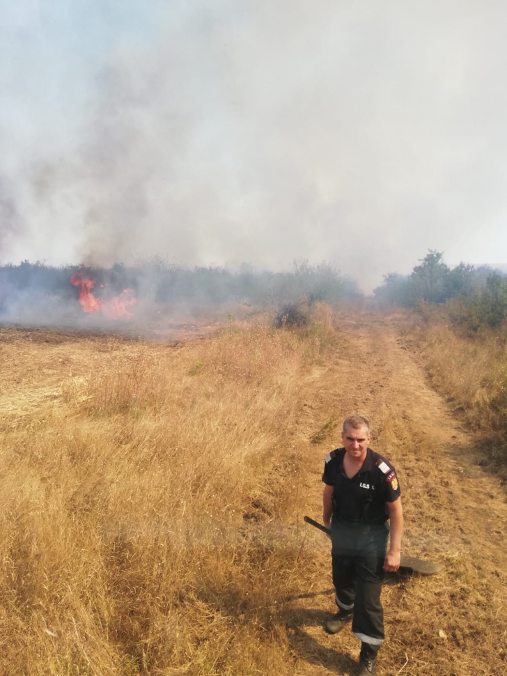 VIDEO Incendiu puternic în Dolj. Au ars 80 de hectare de arbuști și vegetație