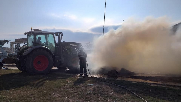 Incendiu la un adăpost de animale din Satu Mare. 150 de miei au ars de vii