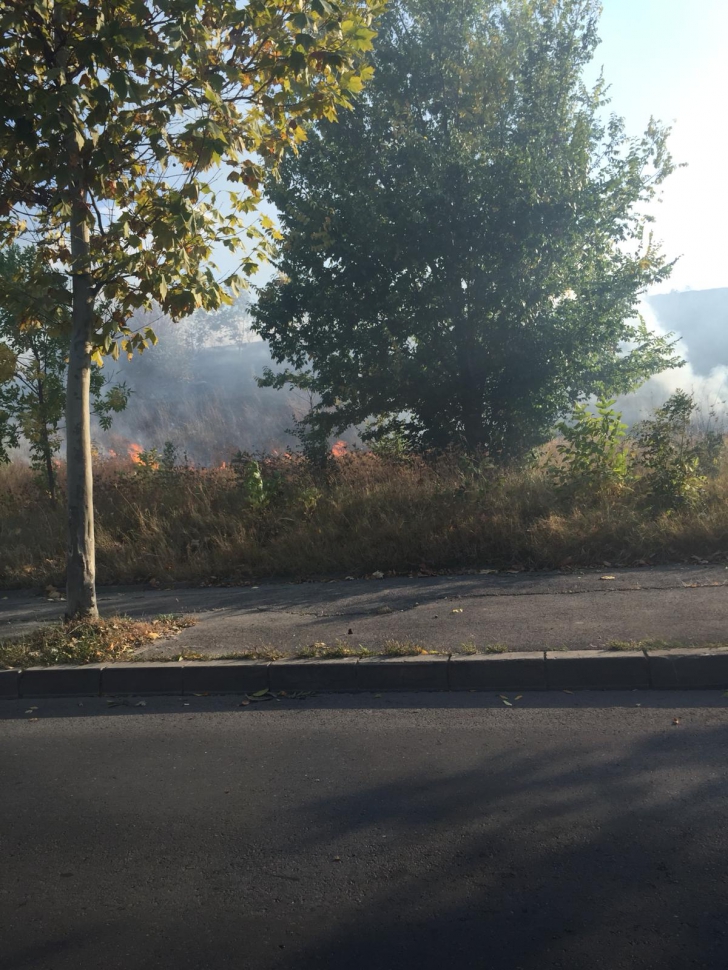Incendiu de vegetație, pe Splaiul Unirii. Intervenție de amploare a pompierilor