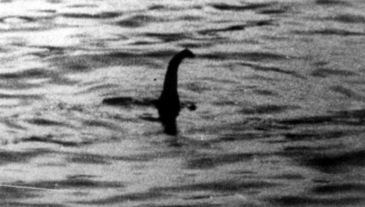 Ce este de fapt monstrul din Loch Ness