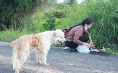 Un câine pierdut și-a așteptat stăpânii să se întoarcă, în același loc, 4 ani. La regăsire, a șocat!