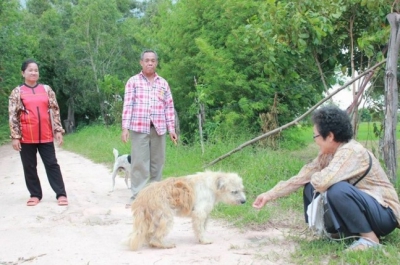 Un câine pierdut și-a așteptat stăpânii să se întoarcă, în același loc, 4 ani. La regăsire, a șocat!