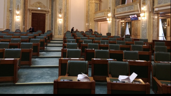 Dăncilă, acuzată că s-a dus la ”cumpărături” la Senat