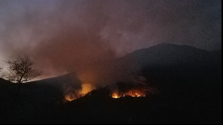  Incendiul continuă să facă ravagii în Pădurea din Apuseni! Raed Arafat: ”A fost ceață la București”