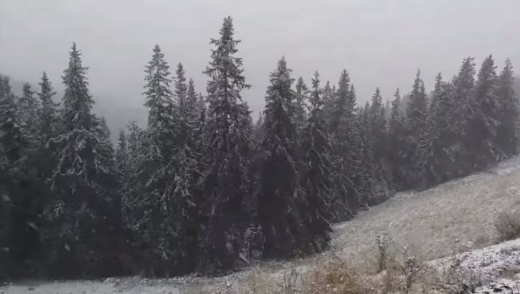 Ninge în toată regula în România. Județul unde iarna a început să se instaleze -VIDEO