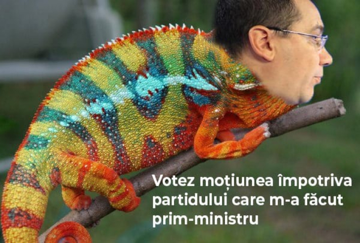 Fifor atac fără precedent la Ponta: Cât de mult își poate schimba culoarea un cameleon? 