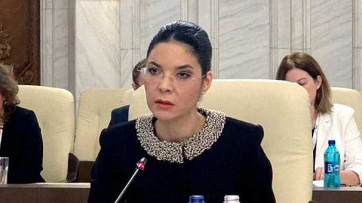 Ana Birchall, dezvăluiri explozive după discuția cu șeful DIICOT