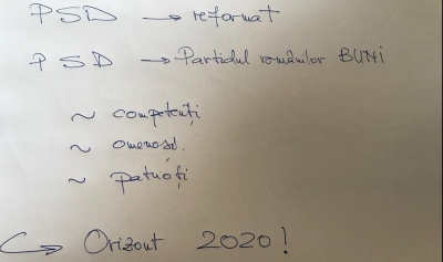 Reforma la PSD, am&acirc;nată