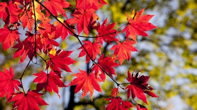 Prognoza meteo a fost revizuită. Schimbări de ultimă oră: cum va fi vremea până pe 9 decembrie